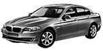 BMW F10 B1E50 Fault Code